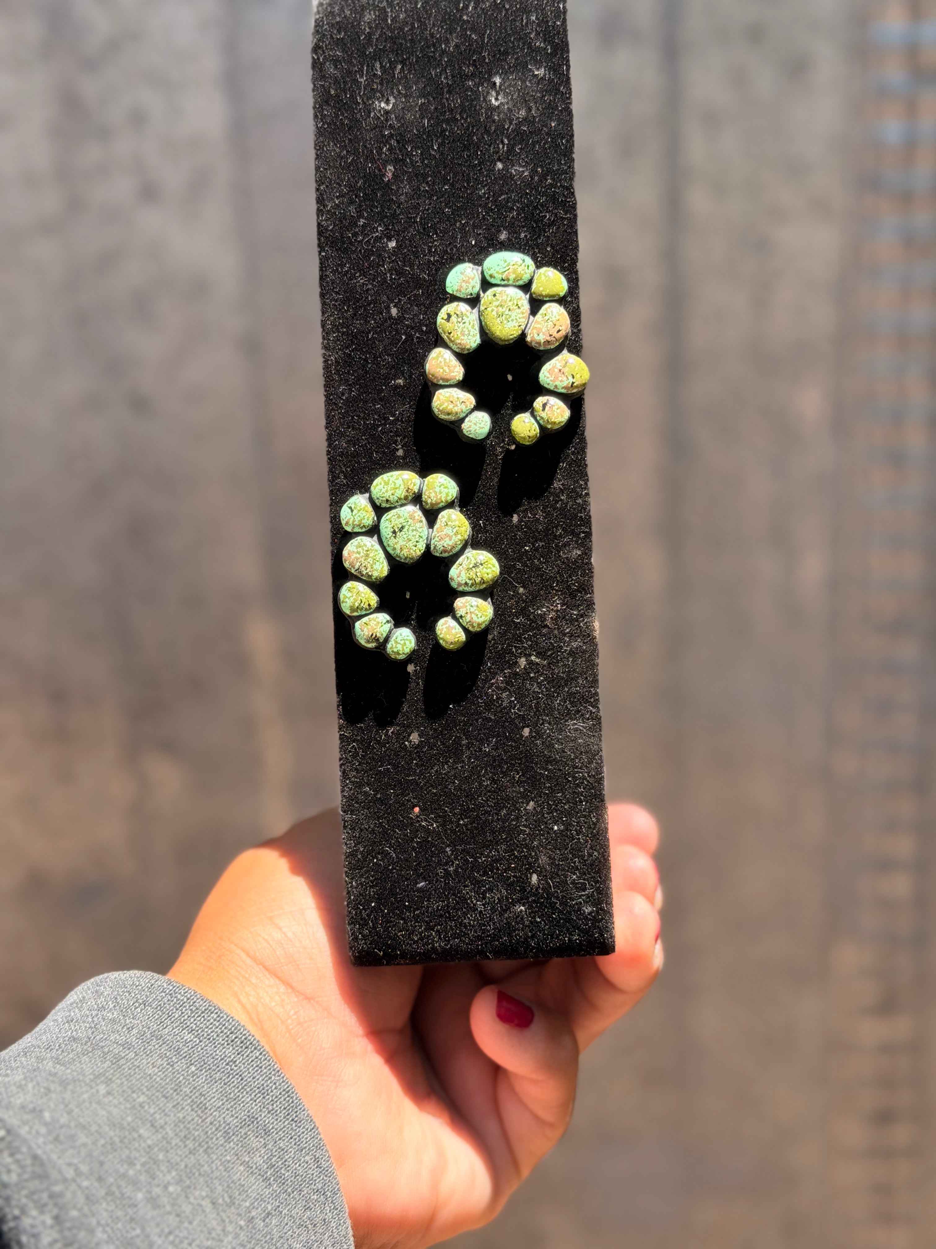 Dessert Sage Conchos